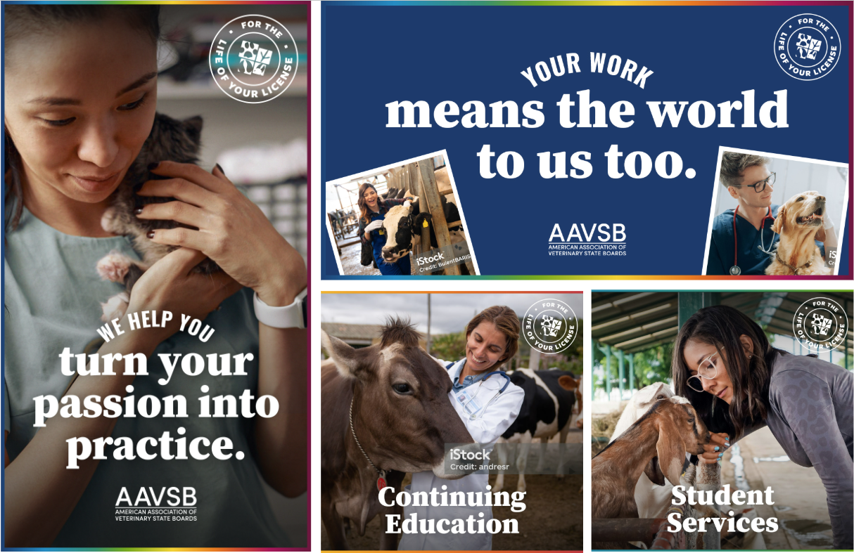 AAVSB Life of Your License Campaign